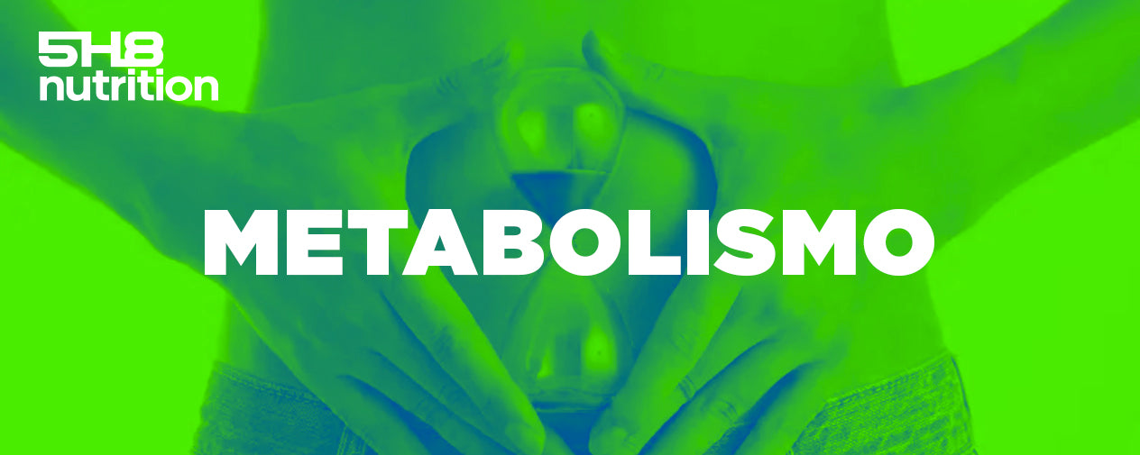 ¿Qué es el metabolismo?