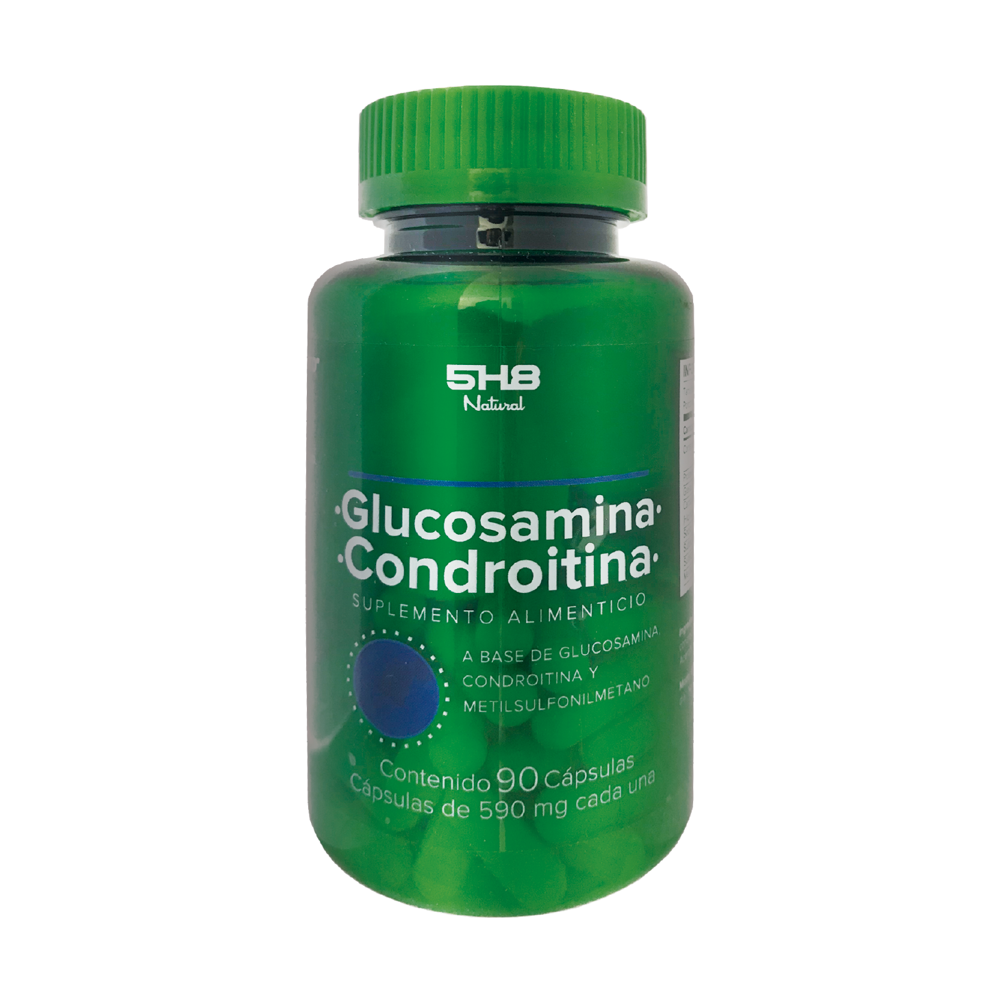 GLUCOSAMINA + CONDROITINA + MSM